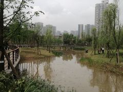 -沐仙湖湿地公园
