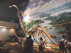 景点-自贡恐龙博物馆