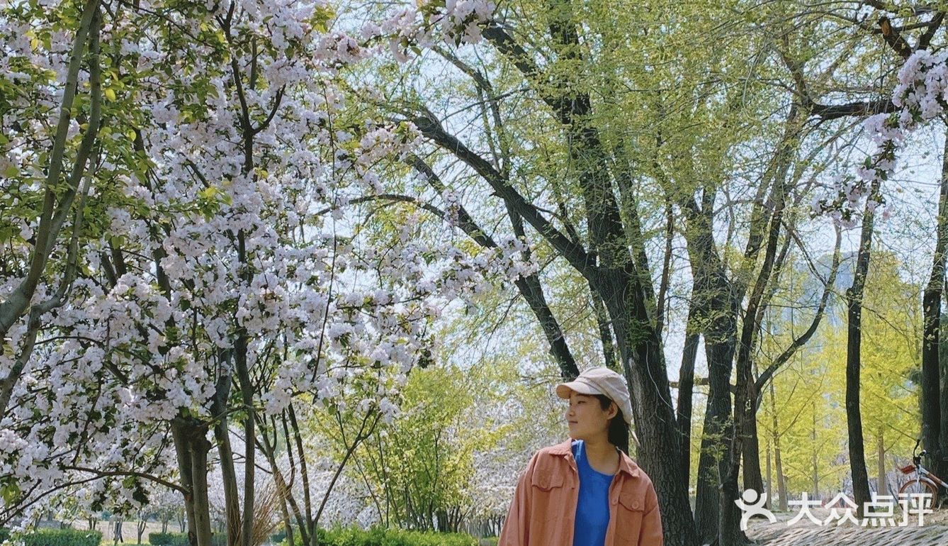 北京春日赏花秘境🌸日系海棠花溪‼️完爆元大都 