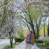 北京春日赏花秘境🌸日系海棠花溪‼️完爆元大都 