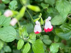 -乖乖佳花园山庄·私房菜(阿哈湖公园店)
