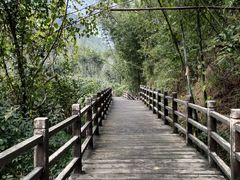 -赤水丹霞旅游区·佛光岩
