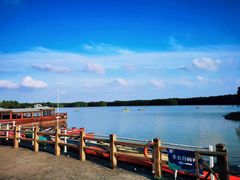 -上海海湾国家森林公园