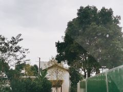 -三圣花乡旅游区