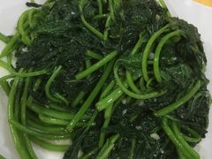 炒番薯叶-蚝专家(北滘店)