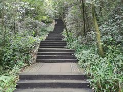 -凤栖山