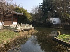 -焦山风景区