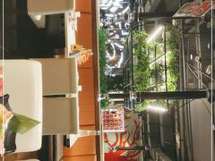 -猫爪爪原切自助烤肉(观音桥阳光世纪店)
