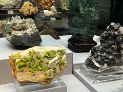 -湖南省地质博物馆