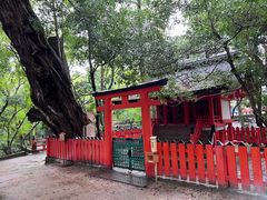 -奈良公园