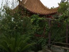 android_upload_pic-之了火锅(公园街店)