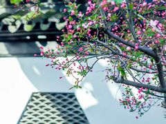 -莫愁湖公园