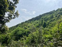 -九龙潭景区