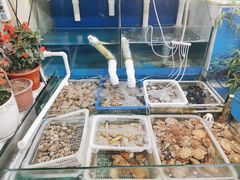 水产区-公寓家常菜馆(海军博物馆店)