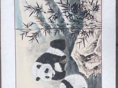 -都江堰中华大熊猫苑