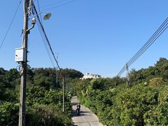 -长洲岛