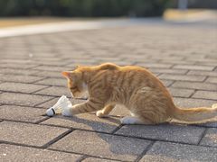 -东华大学(松江校区)