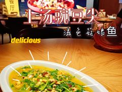 上汤豌豆尖-滋色臻选川菜(北京坊旗舰店)