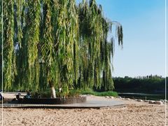 -大兴滨河森林公园