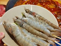 -阳阳老火锅(小南门店)