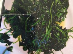 -新澳港式茶餐厅(余姚路店)