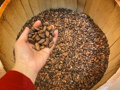 -歌斐颂巧克力小镇