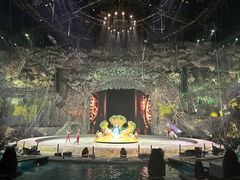 -广州长隆国际大马戏