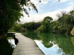 -西溪国家湿地公园