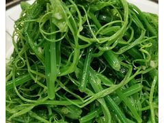清香丝瓜尖-中国徽菜·徽商故里(远大店)