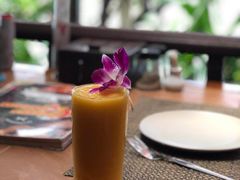 -卷心菜和避孕套餐厅(Pattaya)