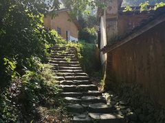 -杨家堂村