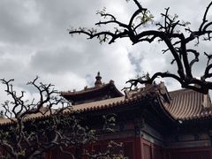 -雍和宫