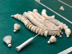 -DC动创羽毛球馆YONEX(双联馆)