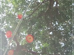 -戏作寿司(观音桥店)