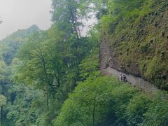 -青城山