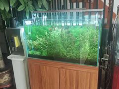 -繁花足道(梅江店)