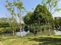 -沙家浜风景区