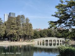 -四海公园(南山区)