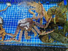 -霞涌市场海鲜摆卖区
