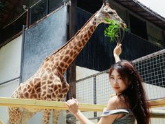 -灵玲国际马戏城