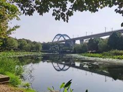 -金陵矩阵(聚宝山公园店)