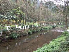 -重庆彩云湖湿地公园