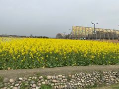 -中国天府农业博览园