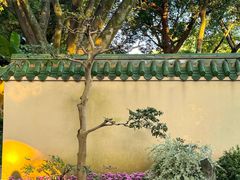 -鹅岭公园瞰胜楼