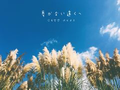 -白鹭湾湿地公园