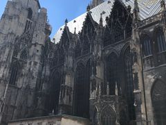 -斯蒂芬主教座堂(Stephansdom)