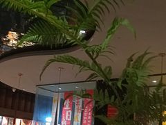 -吉布鲁牛排海鲜自助(成都大悦城店)