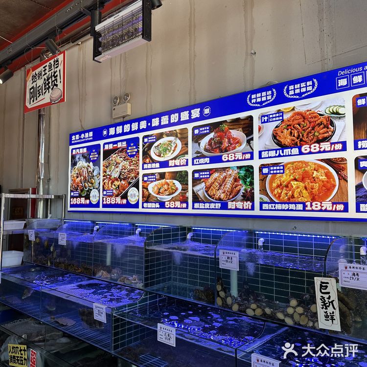 爱吃蛏子的宝有福了！！
