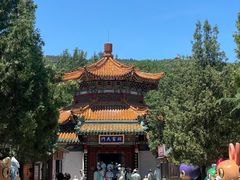 -龙口南山旅游景区