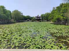 -莲池书院博物馆
